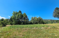 /c_images/thumb_3361737_1_1723475316_ravna-gora-2.jpg