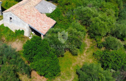/c_images/thumb_3367219_1_1724762111_dji_0095.jpg