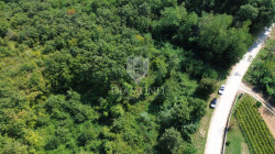 /c_images/thumb_3373915_1_1725623972_dji_0191.jpg