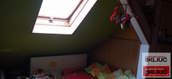 /c_images/thumb_3376524_2_ns-img-rujdsroafr-img-250c3b8ca3dd2679869bed1fcecf0471-v.jpg