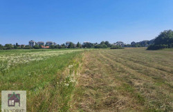 /c_images/thumb_3376530_1_-8-agency-kvadratobrenovac-img-5qf87yref0-1725954771201.jpeg