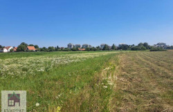 /c_images/thumb_3376530_2_-8-agency-kvadratobrenovac-img-bpmgbbazbn-1725954772020.jpeg
