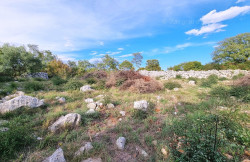 /c_images/thumb_3378598_3_nska_gradevinsko_zemljiste_na_mirnoj_lokaciji_prodaja_19.jpg