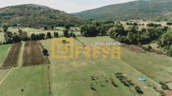 /c_images/thumb_3379564_3_DJI_20240917105235_0081_D-1024x576.jpg