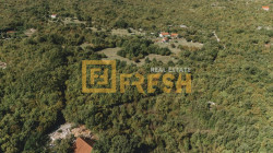 /c_images/thumb_3379566_2_DJI_20240917110533_0088_D-1024x576.jpg