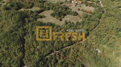 /c_images/thumb_3379566_3_DJI_20240917110559_0091_D-1024x576.jpg