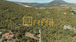 /c_images/thumb_3384232_2_DJI_20240917111131_0092_D-1024x576.jpg