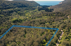 /c_images/thumb_3386117_1_1726817414_dji_0149_line.jpg