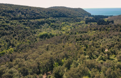 /c_images/thumb_3386117_3_1726817421_dji_0146.jpg
