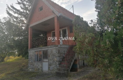 /c_images/thumb_3386912_1_ite-8-agency-dvazvona-img-6krf2x5ba2-img-20240919-082009.jpg