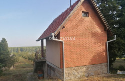 /c_images/thumb_3386912_2_ite-8-agency-dvazvona-img-ddck6iea84-img-20240919-082133.jpg