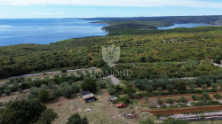 /c_images/thumb_3389204_1_1727162833_dji_0266.jpg