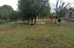 /c_images/thumb_3392521_3_ite-8-agency-dvazvona-img-b7vsutwne2-img-20240915-130742.jpg