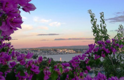 /c_images/thumb_3397605_2_Villa_Roza_46e146f5e8b9.jpg