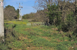 /c_images/thumb_3398834_3_1722795432_zemlja-valtura-zona_4.jpg
