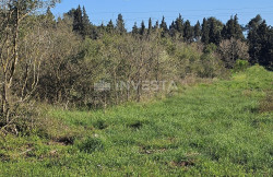 /c_images/thumb_3398834_4_1722795435_zemlja-valtura-zona_7.jpg