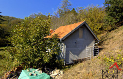 /c_images/thumb_3401511_3_kuce-straZilovo-3004125-ig2aa.jpg