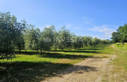 /c_images/thumb_3403226_3_1728665031_investicija-istra-pula-3.jpg