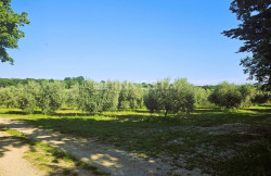 /c_images/thumb_3403228_4_1728665029_investicija-istra-pula-2.jpg