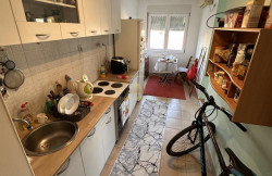 /c_images/thumb_3410295_3_image-site-8-agency-savetniknek-img-hzegyrudp8-img-6937.jpeg