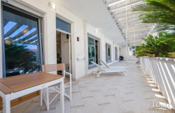 /c_images/thumb_3416943_2_ncy-monteonline-img-b72xi8sk6y-apartament-2sp-dobrota-02.jpg
