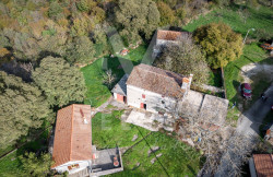 /c_images/thumb_3422922_1_1730987866_20241106-dji_0317.jpg