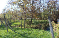 /c_images/thumb_3423336_3_mage-site-8-agency-status-img-phriuznv42-img-3631-resize.jpg