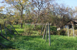 /c_images/thumb_3423336_4_mage-site-8-agency-status-img-0ah4cxuc2u-img-3632-resize.jpg
