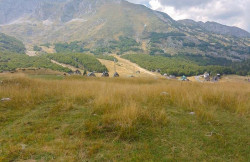 /c_images/thumb_3425681_1_Zemljiste-1200-m2-Zabljak-Prodaja-156.jpg