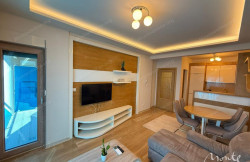 /c_images/thumb_3425795_2_dlozhenie-prekrasnye-apartamenty-s-1-spalnej-v-przhno-01.jpg