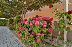 /c_images/thumb_3428735_2_1731620453_apartmanska-kuca-u-okolici-fazane-18.jpg