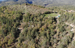 /c_images/thumb_3429988_3_1731745932_dji_0339.jpg