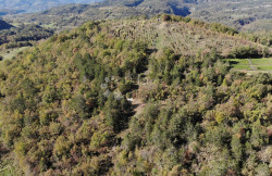/c_images/thumb_3429988_4_1731745940_dji_0340.jpg