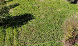 /c_images/thumb_3429990_3_1731744691_dji_0326.jpg