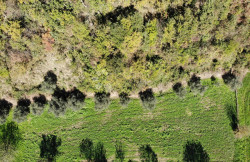 /c_images/thumb_3429990_4_1731744701_dji_0328.jpg