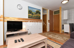 /c_images/thumb_3453686_4_ace-izdavanje-one-bedroom-apartment-for-rent-podgorica-5.jpg