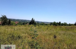 /c_images/thumb_3454027_2_vadratobrenovac-img-fnnj5n3ixf-photo-2025-06-24-13-16-18.jpg