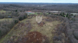 /c_images/thumb_3462153_1_1736176737_dji_0755.jpg