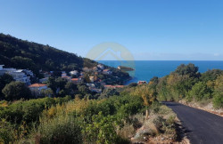 /c_images/thumb_3469259_2_-site-8-agency-bokarealty-img-enye5mypyf-20191118-104842.jpg