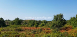/c_images/thumb_3469268_1_-urbanised-land-plot-urbanizovan-plac-20180820-090252-0-.jpg