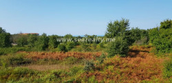 /c_images/thumb_3469268_3_-urbanised-land-plot-urbanizovan-plac-20180820-090252-2-.jpg