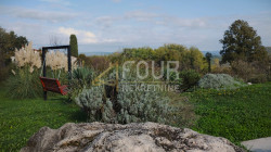 /c_images/thumb_3469744_1_1737043177_motovun-6.jpg