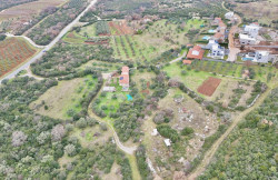 /c_images/thumb_3472122_3_455855_dji_fly_20250120_161844_0358_1737386367879_photo.jpeg