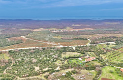 /c_images/thumb_3472122_4_455872_dji_fly_20250120_161914_0361_1737386363574_photo.jpeg