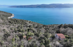 /c_images/thumb_3472131_4_1738316068_dji_0386.jpg
