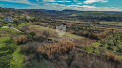 /c_images/thumb_3481306_1_1707839224_dji_20240213111223_0015_d.jpg
