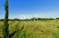/c_images/thumb_3482033_1_1738095387_croatia-istria-real-estate-for-sale-398.jpg
