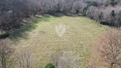 /c_images/thumb_3485536_1_1738403991_dji_0843.jpg