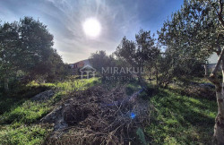 /c_images/thumb_3485589_3_tnine-pirovac-gradevinsko-zemljiste-na-mirnoj-lokaciji-3.jpg