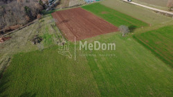 /c_images/thumb_3485898_4_1738495857_dji_0224.jpg